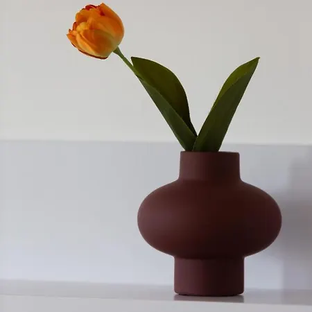 Praga Afrykanska By Renters * Varsovia